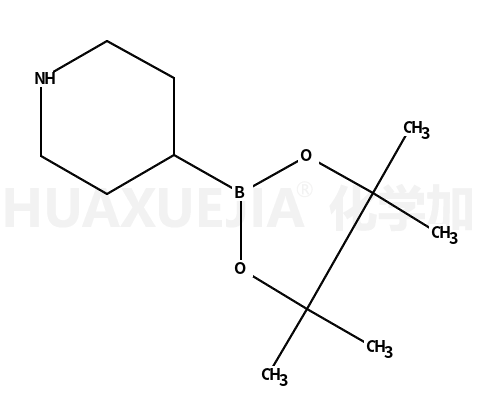哌啶-4-硼酸频哪醇酯