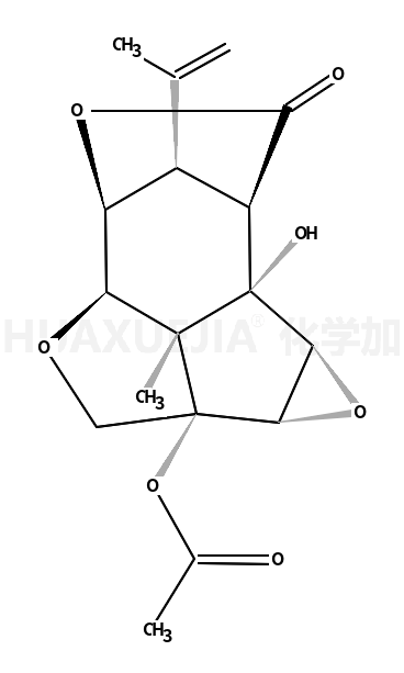 13-O-乙酰基马桑宁