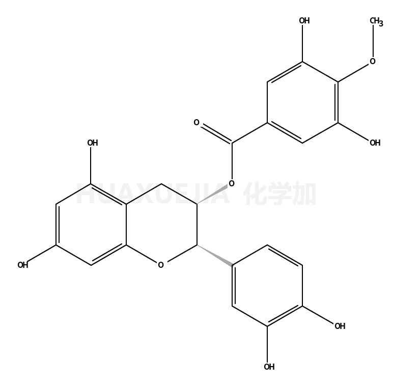 （-）-表儿茶素3-（4-O-甲基）没食子酸酯