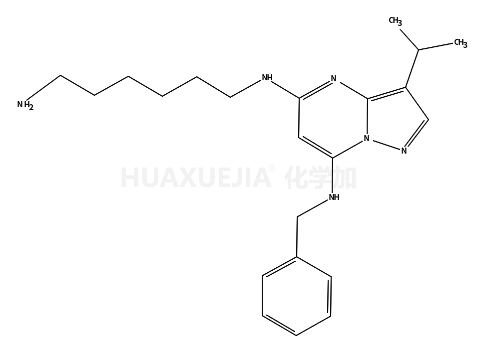 N5-(6-氨基己基)-N7-苄基-3-异丙基吡唑并[1,5-a]嘧啶-5,7-二胺