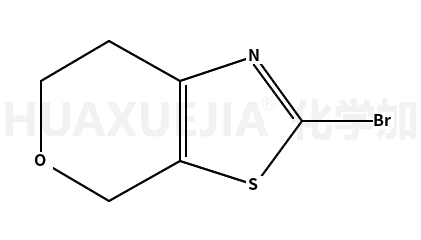 2-溴-6,7-二氢-4H-吡喃o[4,3-d]噻唑