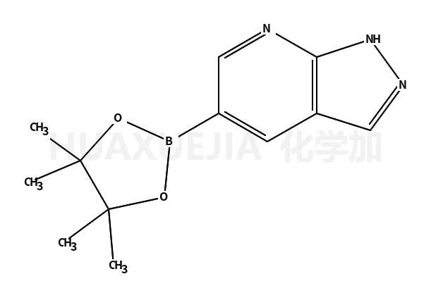 5-(4,4,5,5-四甲基-1,3,2-二氧硼烷)-1H-吡唑并[3,4-b]吡啶