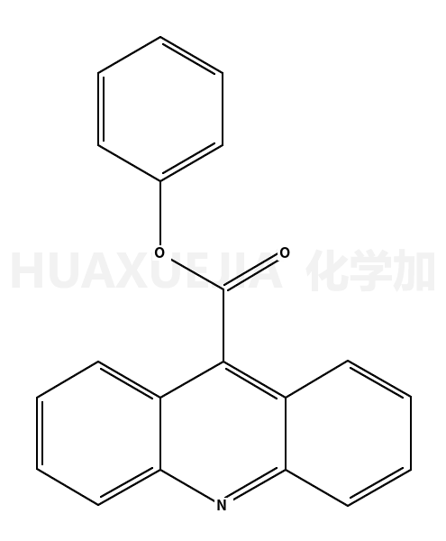 苯基吖啶-9-羧酸酯