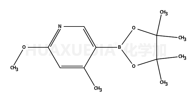 2-甲氧基-4-甲基-5-(4,4,5,5-四甲基-[1,3,2]二噁硼烷-2-基)-吡啶