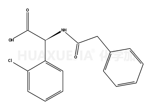 R-2-(2-氯苯基)-2-(2-苯乙酰氨基)乙酸