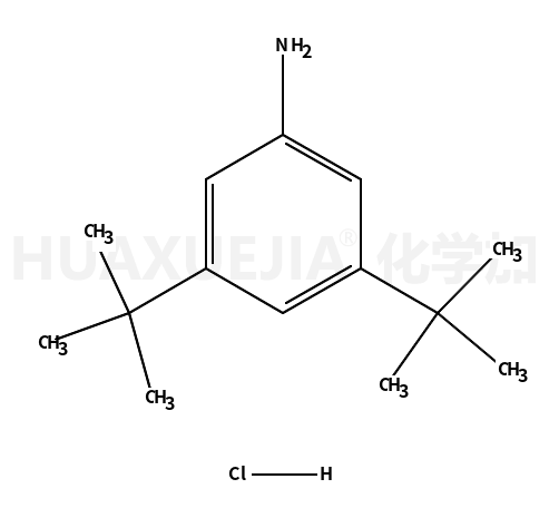 3,5-二叔丁基苯胺盐酸盐