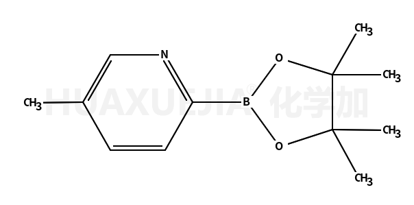 5-甲基-2-(4,4,5,5-四甲基-1,3,2-二噁硼烷-2-基)吡啶