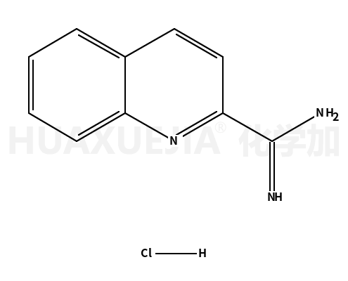 喹啉-2-羧酰胺盐酸盐