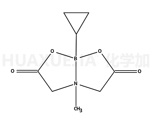 环丙基硼酸甲基亚氨基二乙酸酯