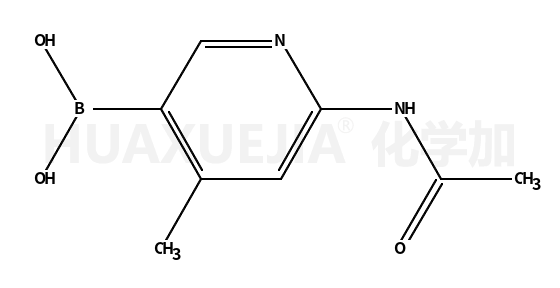 6-乙酰氨基-4-甲基吡啶-3-硼酸