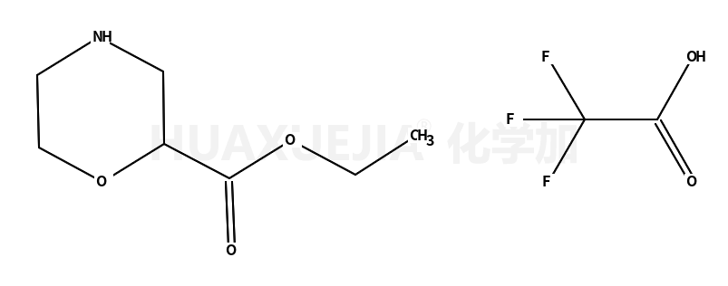 吗啉-2-羧酸三氟乙酸乙酯
