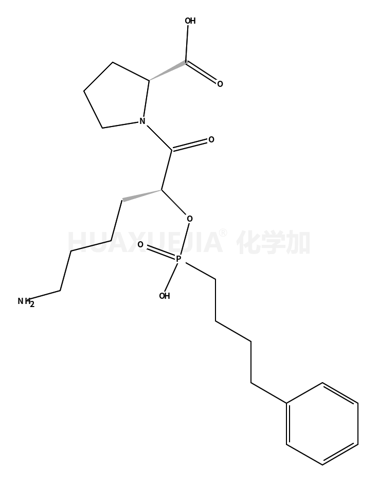 西罗普利