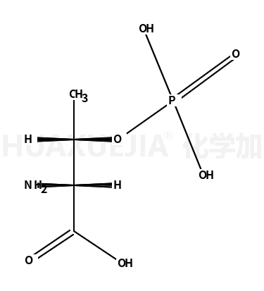 L-苏氨酸-O-磷酸