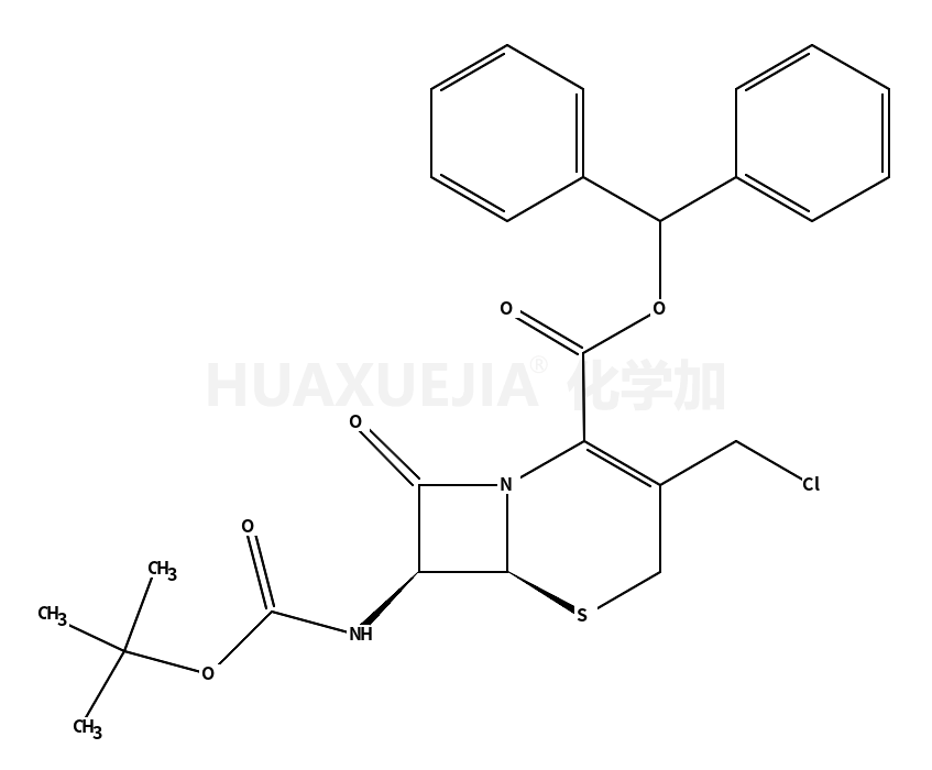 7Β-叔丁氧羰基氨基-3-氯甲基-3-头孢烯-4-羧酸二苯甲酯