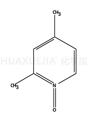 2,4-二甲基吡啶 1-氧化物