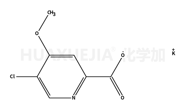 5-氯-4-甲氧基吡啶-2-羧酸钾