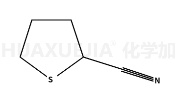 2-氰基四氢噻吩