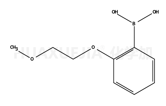 2-(2-甲氧基乙氧基)苯硼酸