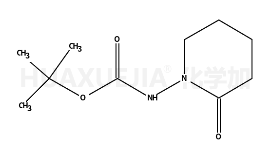 tert-butyl N-(2-oxopiperidin-1-yl)carbamate