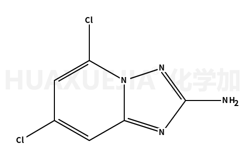 5,7-二氯-[1,2,4]噻唑并[1,5-a]吡啶-2-胺