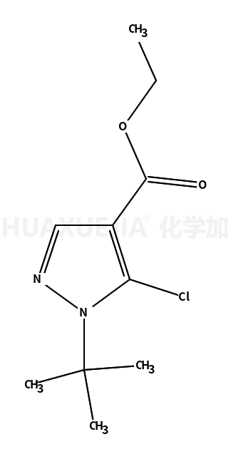 5-氯-1-叔丁基-1H-吡唑-4-羧酸乙酯