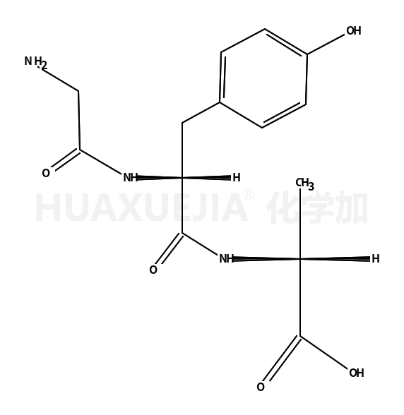 glycine-tyrosine-alanine