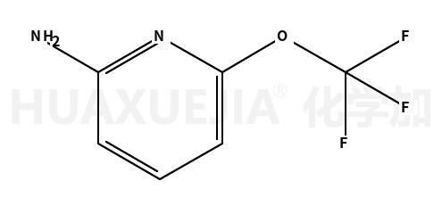 6-(三氟甲氧基)吡啶-2-胺