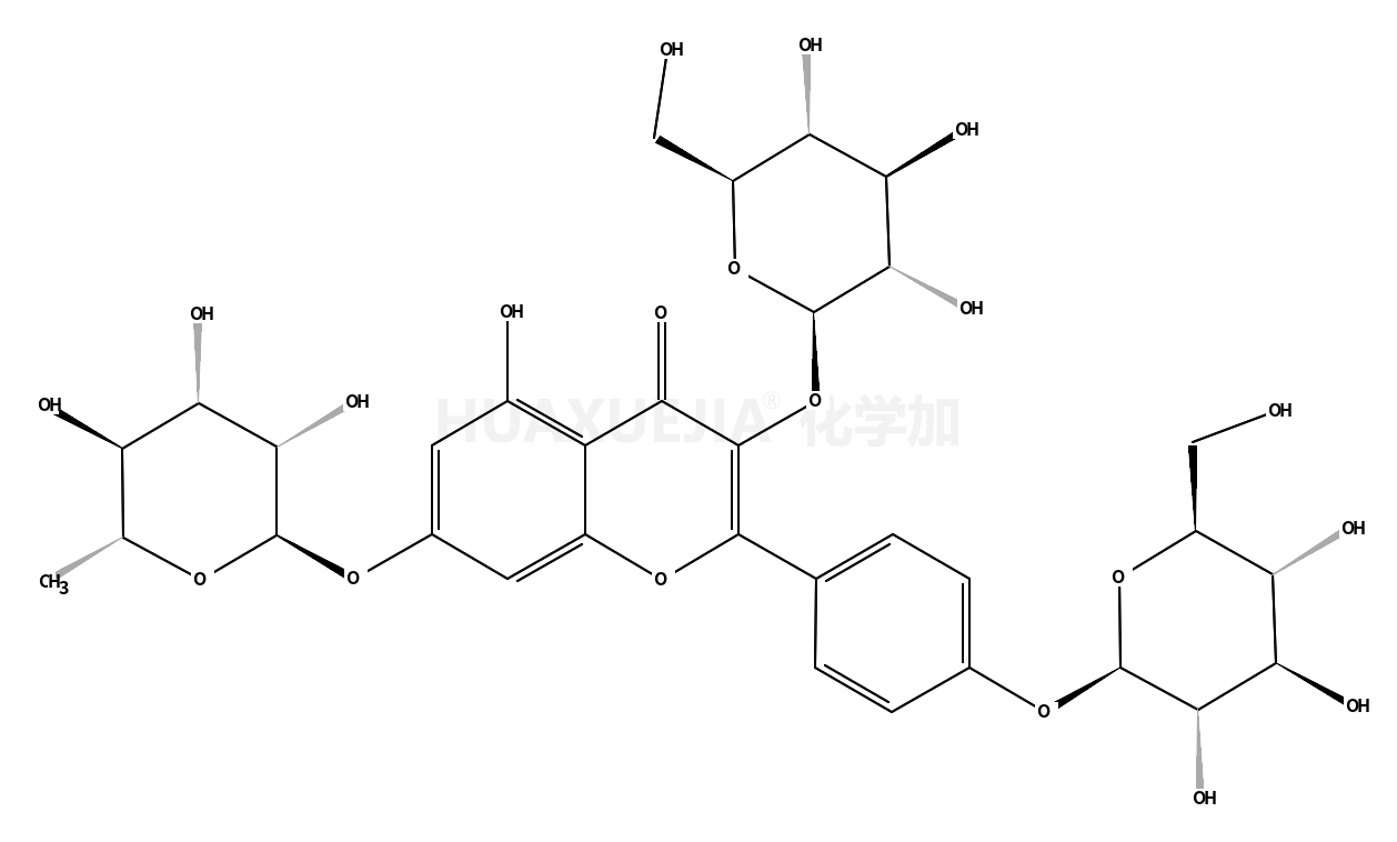 山奈酚3,4'-二葡萄糖苷7-鼠李糖苷