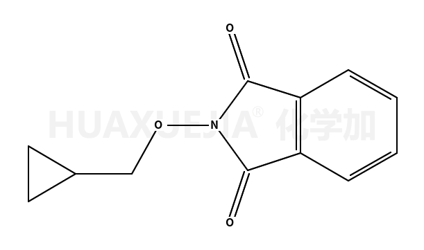 2-(环丙基甲氧基)-1H-异吲哚-1,3(2H-)-二酮