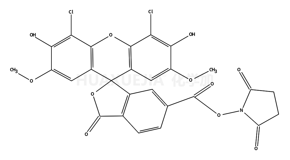 6-羧基-4,5-二氯-2,7-二甲氧基荧光素琥珀酰亚胺酯
