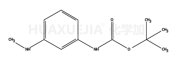 (3-甲氨基-苯基)-氨基甲酸 叔丁基 酯