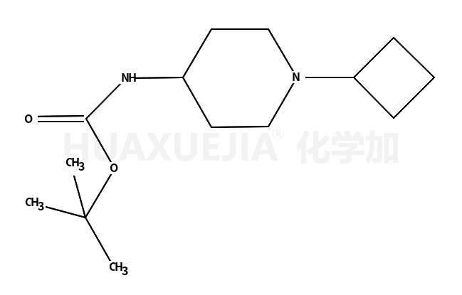 (1-环丁基哌啶-4-基)氨基甲酸叔丁酯