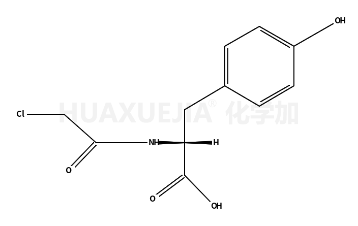 氯乙酰基-L-酪氨酸