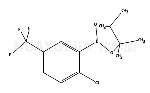 2-[2-chloro-5-(trifluoromethyl)phenyl]-4,4,5,5-tetramethyl-1,3,2-dioxaborolane