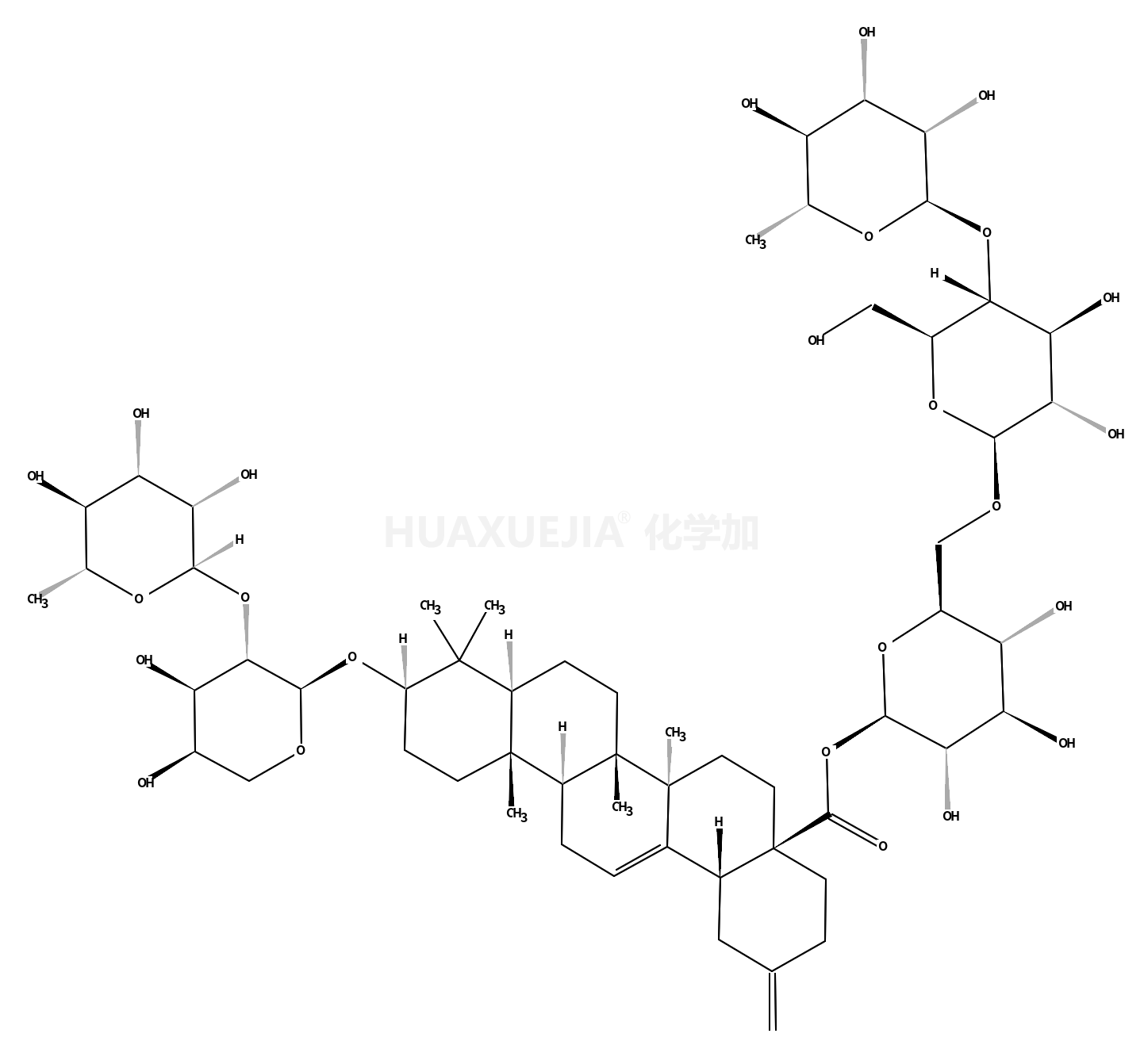 刺五加皂苷B