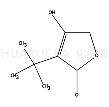 3-叔丁基-4-羟基呋喃-2(5H)-酮