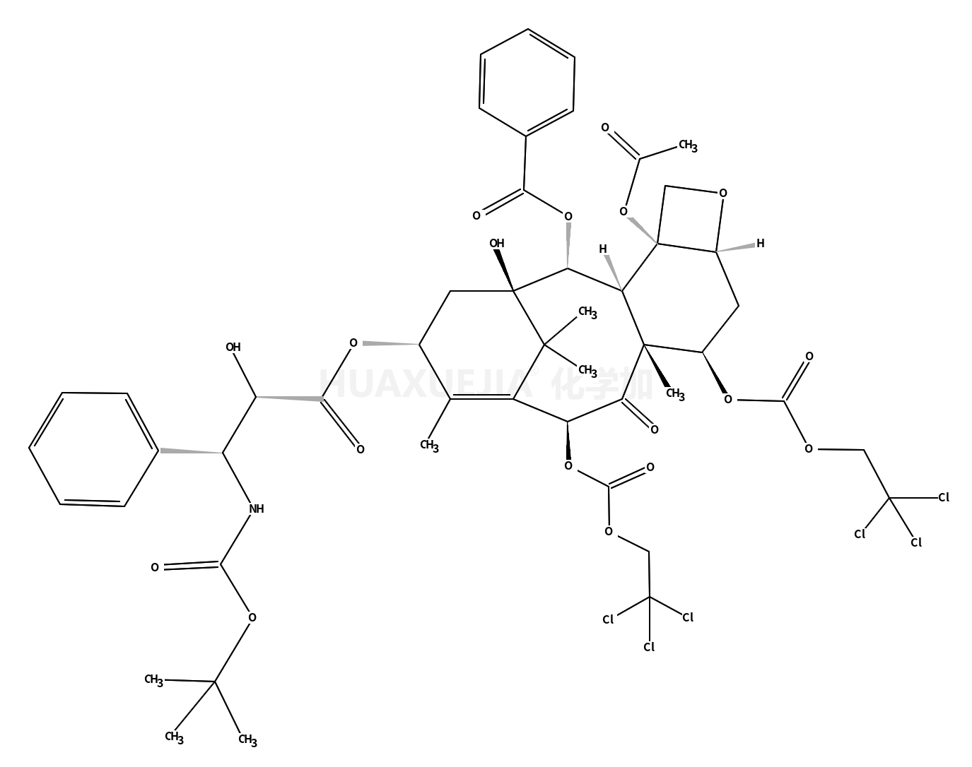 多西N-1