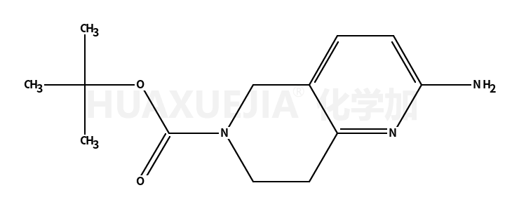 2-氨基-7,8-二氫-1,6-萘啶-6(5H)-氨基甲酸叔丁酯