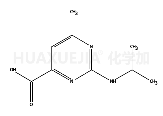2-异丙基氨基-6-甲基-嘧啶-4-羧酸