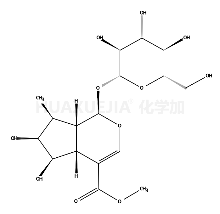 5-deoxypulchelloside I ；6β-hydroxyloganin