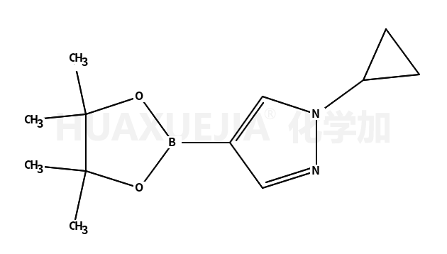 1-环丙基吡唑-4-硼酸片呐醇酯