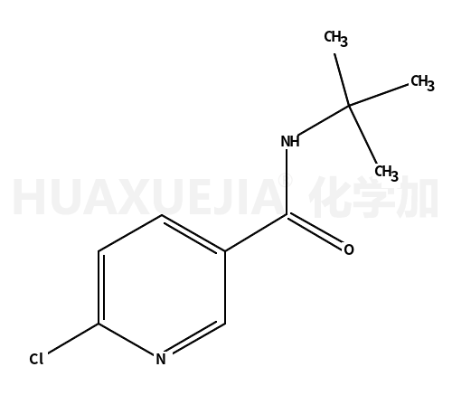 N-叔丁基-6-氯煙酰胺