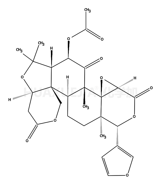 海罂粟碱B