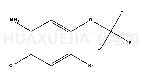4-溴-2-氯-5-(三氟甲氧基)苯胺