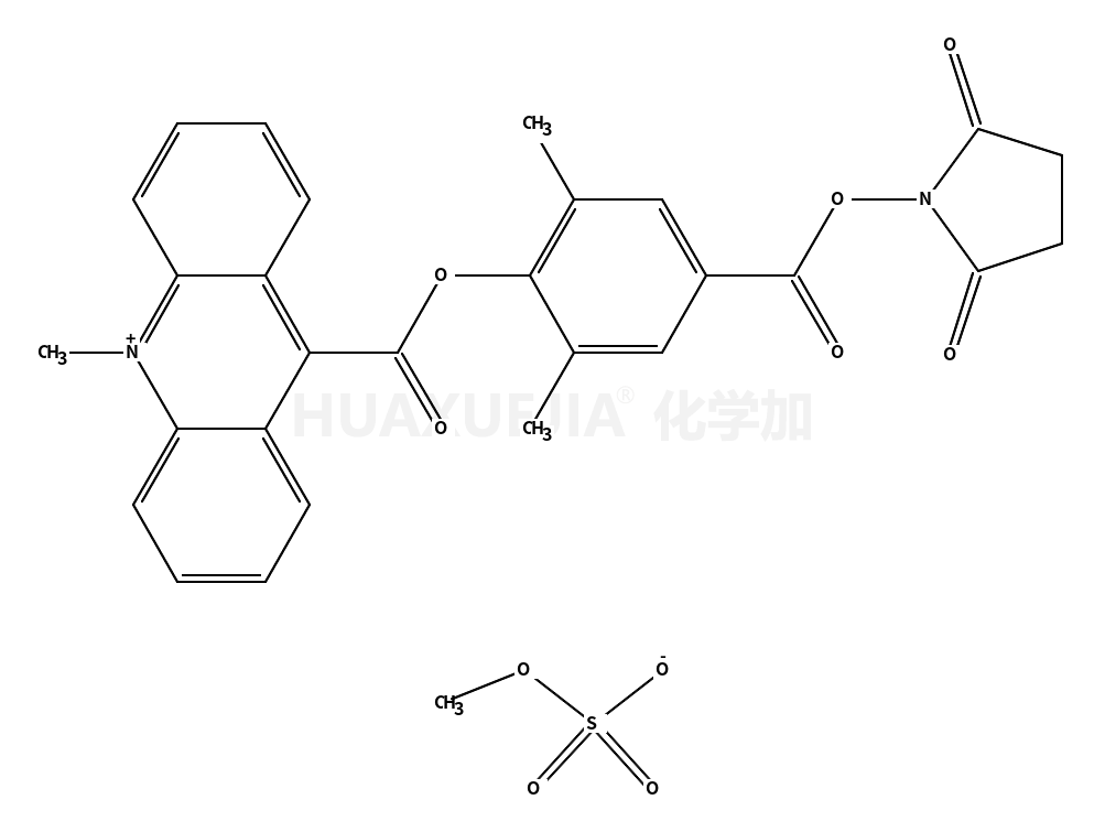 吖啶盐(DMAE-NHS)
