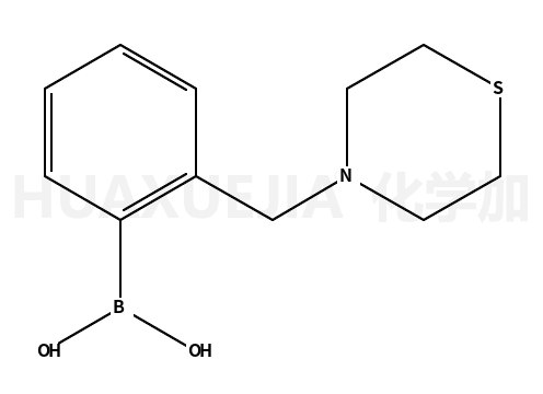 2-(硫代吗啉甲基)苯硼酸