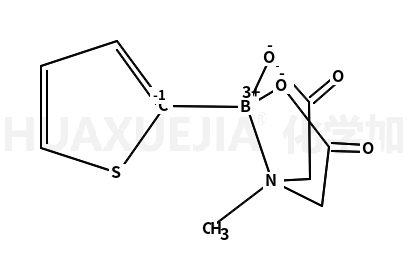 2-噻吩硼酸甲基亚氨基二乙酸酯