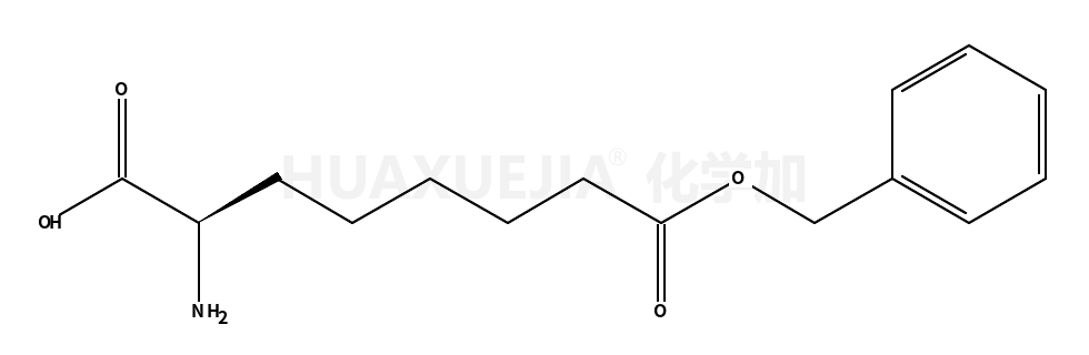 8-苄基-(S)-2-氨基辛二酸酯