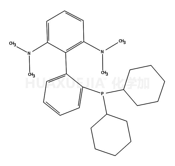 2-二环己基膦-2'6'-双(N,N-二甲胺基)-1,1'-联苯