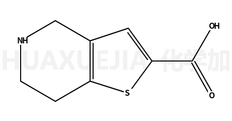 4,5,6,7-四氢噻吩[3,2-C]吡啶-2-羧酸